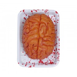 Cerebro 20 cm en bandeja
