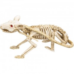 Esqueleto de Rata de 40cm