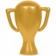 Trofeo champions hinchable 45 cm