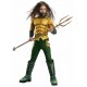 Disfraz Aquaman premium nino talla 8 10 anos infantil