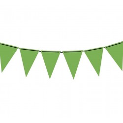 Guirnalda triangular verde fucsia neon 3 metros gallardete papel