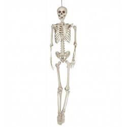 Esqueleto 160 cms halloween