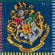 Servilletas harry potter para cumpleanos 16 uds