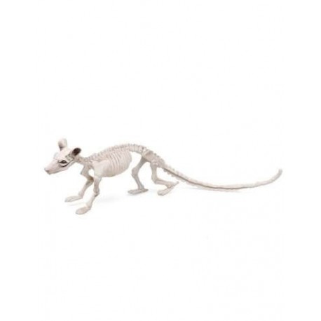 Esqueleto de rata 34 cm