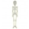 Esqueleto fluorescente 75 cm plastico