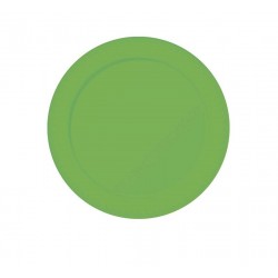 Platos verde fucsia neon 6 uds cumpleanos