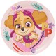 Platos Sky Patrulla Canina cumpleaños 8 uds 23 cm