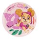 Platos Sky Patrulla Canina cumpleaños 8 uds 18 cm