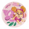 Platos Sky Patrulla Canina cumpleaños 8 uds 18 cm