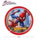 Platos Spiderman cumpleaños 6 uds 23 cm