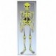 Esqueleto fluorescente decoracion pared 150 cm