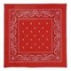 Pañuelo vaquero rojo bandana oeste