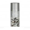 Spray pintura plata 150 ml