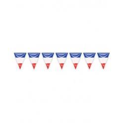 Bandera triangular plastico Francia 25 metros
