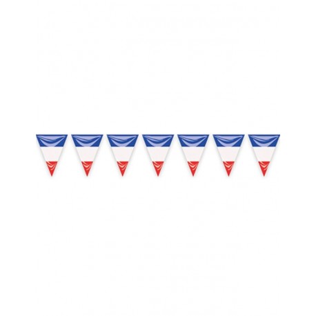 Bandera triangular plastico Francia 25 metros