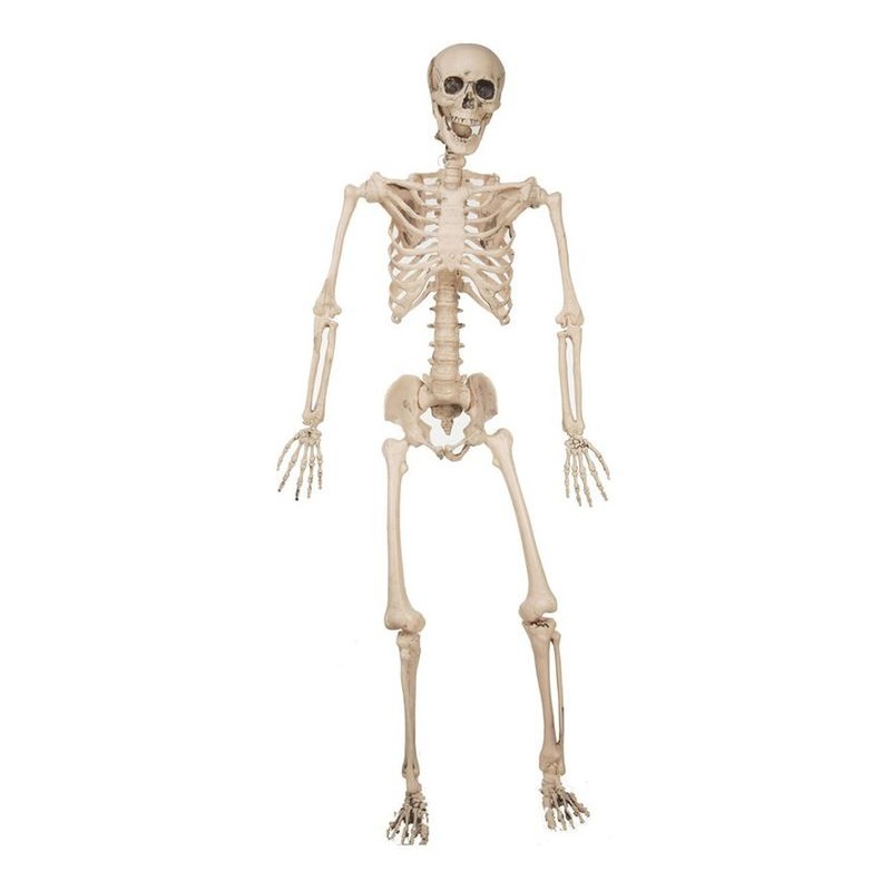 Ткань скелета человека. Скелет человека 3д печать. Скелет человека макет Танцующий. Распечатанный скелет из Тинкеркада. Скелет фал Гайса.
