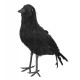 Cuervo negro decoracion 23 x 10 cm