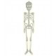 Esqueleto fluorescente 75 cm plastico
