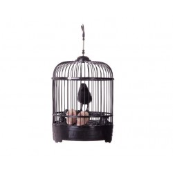 Cuervo negro en jaula 34x19x19 cm