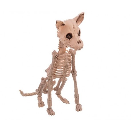 Esqueleto de perro 48 cm para halloween