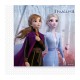 Servilletas de papel Frozen 2 33x33cm 20 unidades