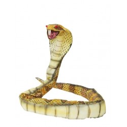 Cobra 50 cm