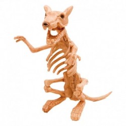 Esqueleto de rata 20x47x17 cm decoracion hallow een