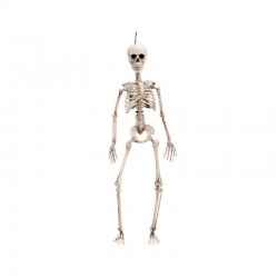 Esqueleto humano de plastico de 49 cm