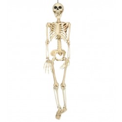 Esqueleto 90 cms halloween