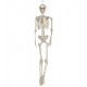 Esqueleto 160 cms halloween