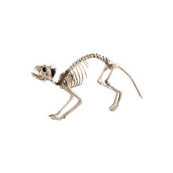 Esqueleto de gato decoracion