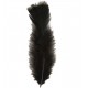 Plumas negras de 10 cm 50 unidades