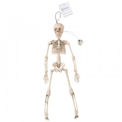 Esqueleto humano con luz de 41 cm