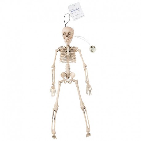 Esqueleto humano con luz de 41 cm