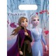 Bolsas chuches frozen 8 dus