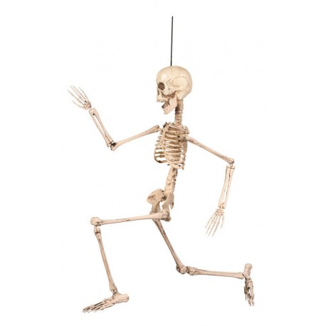 Esqueleto humano 50 cm decoracion halloween